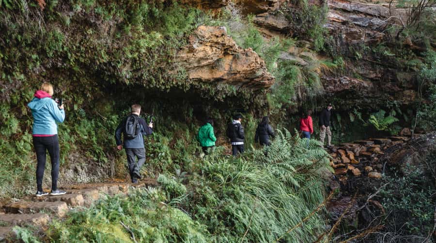 Sydney: Blue Mountains Wildlife & Bushwalk Small-Group Tour - Lunch in Leura or Katoomba: Local Time With a Clock Running