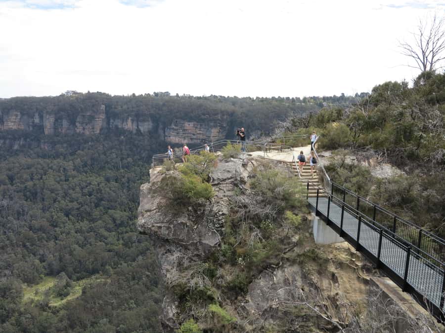 Sydney: Blue Mountains Wildlife & Bushwalk Small-Group Tour - Is $133 Good Value?