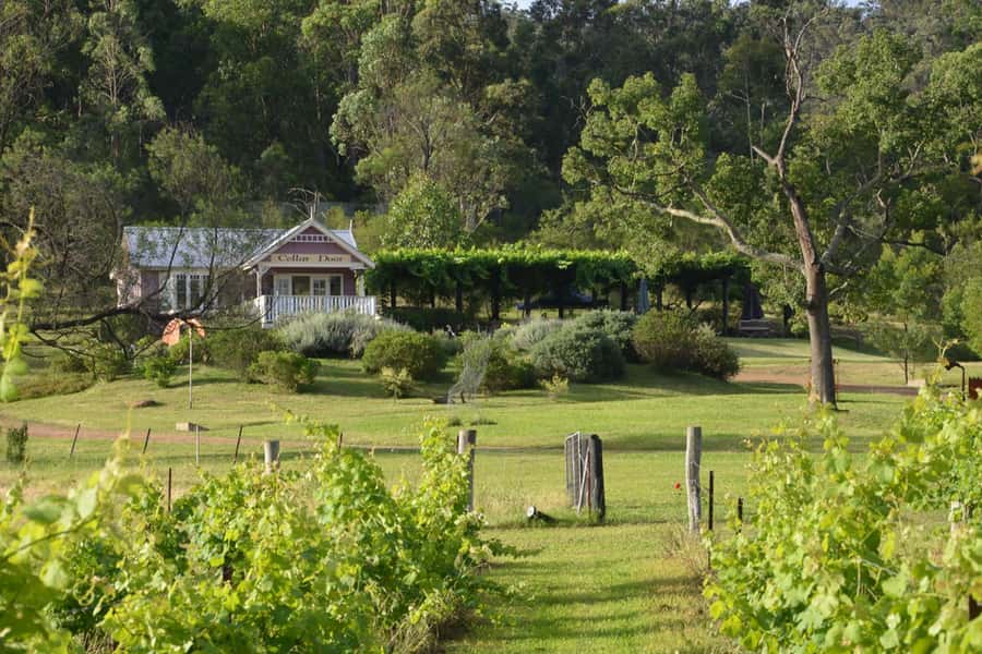 Sydney: Chef-Led Hunter Valley Food & Wine Tour - The day in five useful points