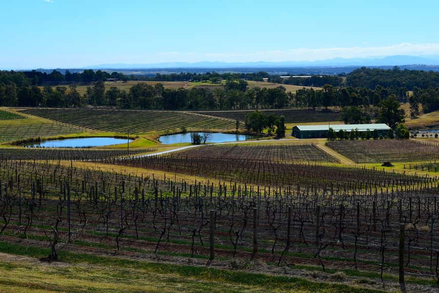 Sydney: Chef-Led Hunter Valley Food & Wine Tour - Why this tour feels different from a standard wine day