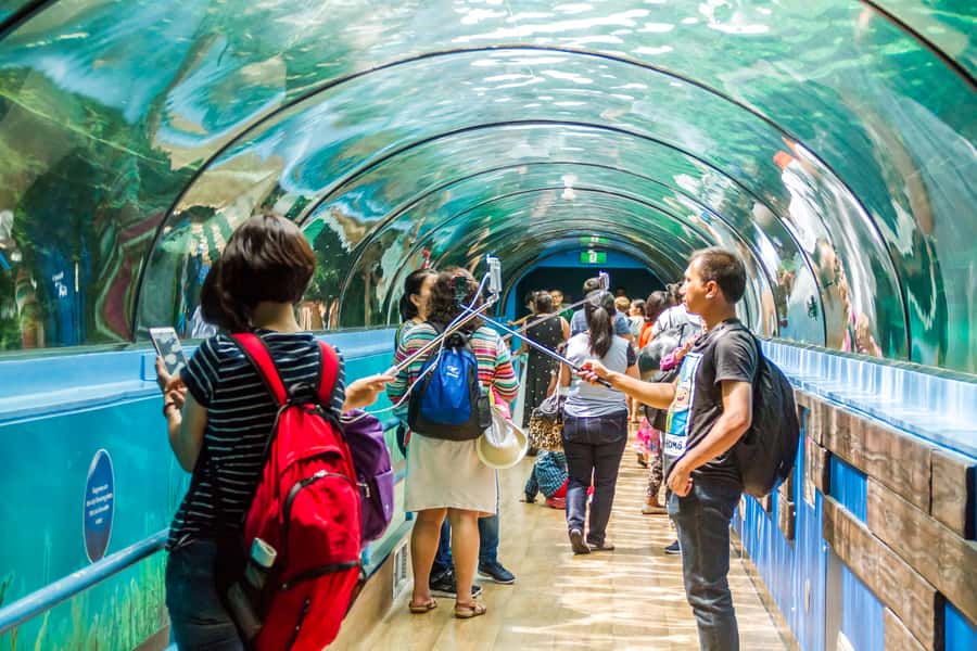 Sydney: Combo Pass for 2, 3, or 4 Top City Attractions - How the Sydney combo pass works