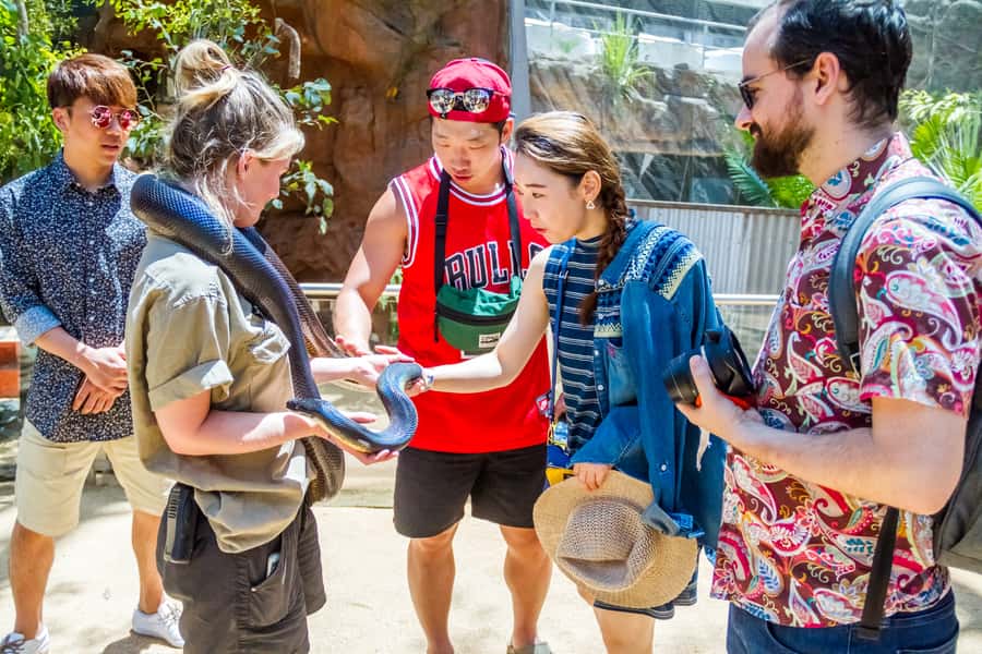 Sydney: Combo Pass for 2, 3, or 4 Top City Attractions - WILD LIFE Sydney for Australian animals