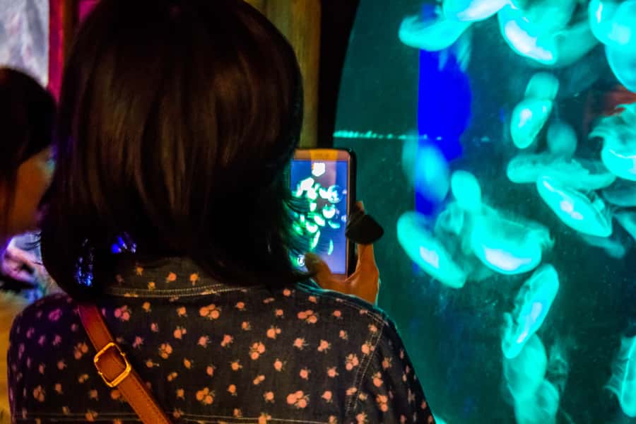 Sydney: Combo Pass for 2, 3, or 4 Top City Attractions - Madame Tussauds and the red-carpet stop