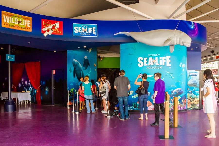 Sydney: Combo Pass for 2, 3, or 4 Top City Attractions - The best way to plan one day
