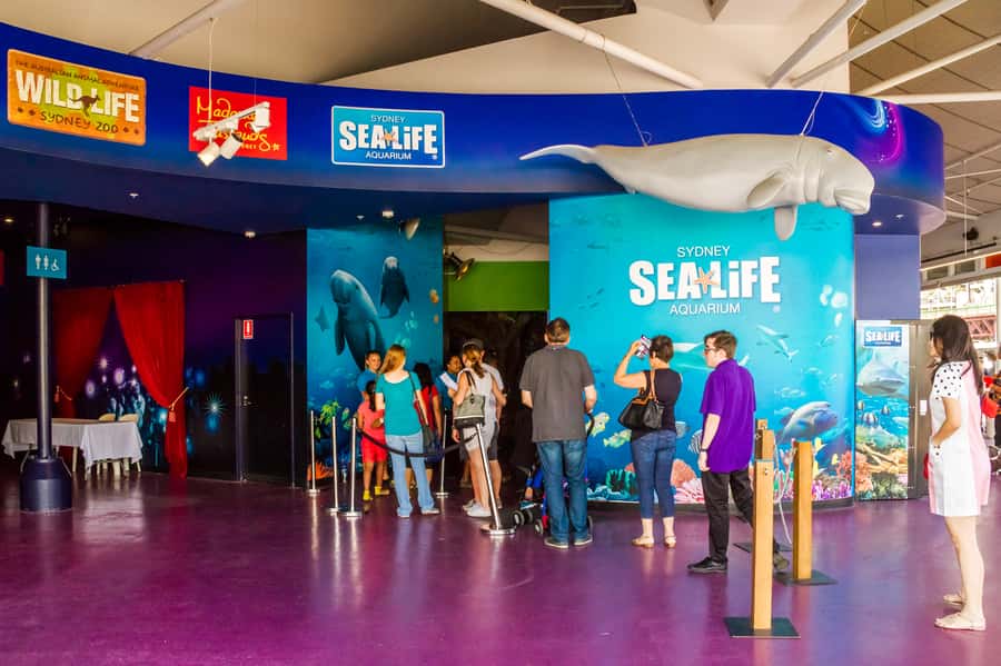 Sydney: Combo Pass for 2, 3, or 4 Top City Attractions - Is $38 good value?