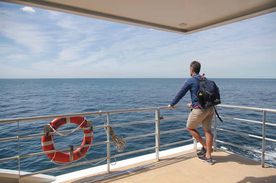 Sydney: Discovery Whale Watching Tour by Catamaran - Why sea conditions matter more than the boat size