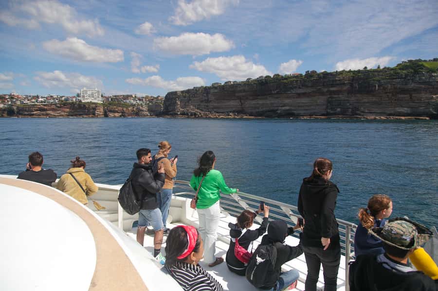 Sydney: Discovery Whale Watching Tour by Catamaran - Commentary, photography, and the practical trade-offs