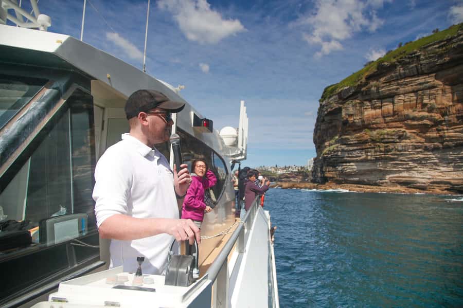 Sydney: Discovery Whale Watching Tour by Catamaran - Timing, cancellation, and what to bring