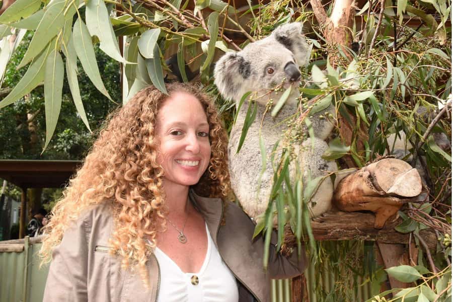 Sydney: Featherdale Wildlife Park Private Tour - Kangaroo feeding and koala photographs