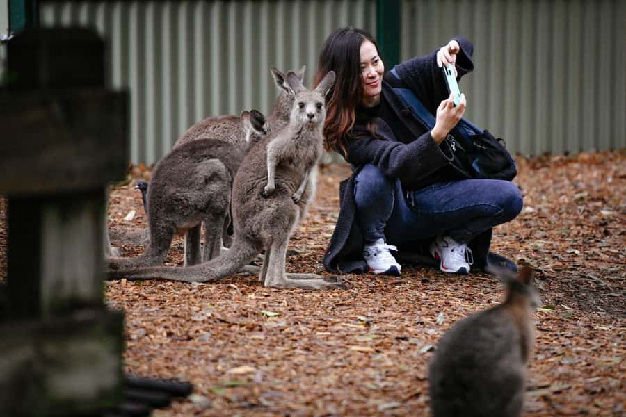 Sydney: Featherdale Wildlife Park Private Tour - Is $211 per person a fair price?
