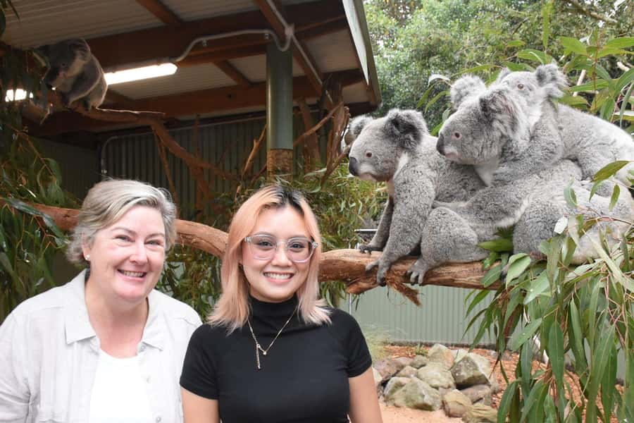 Sydney: Featherdale Wildlife Park Private Tour - Family appeal and the two-hour time limit