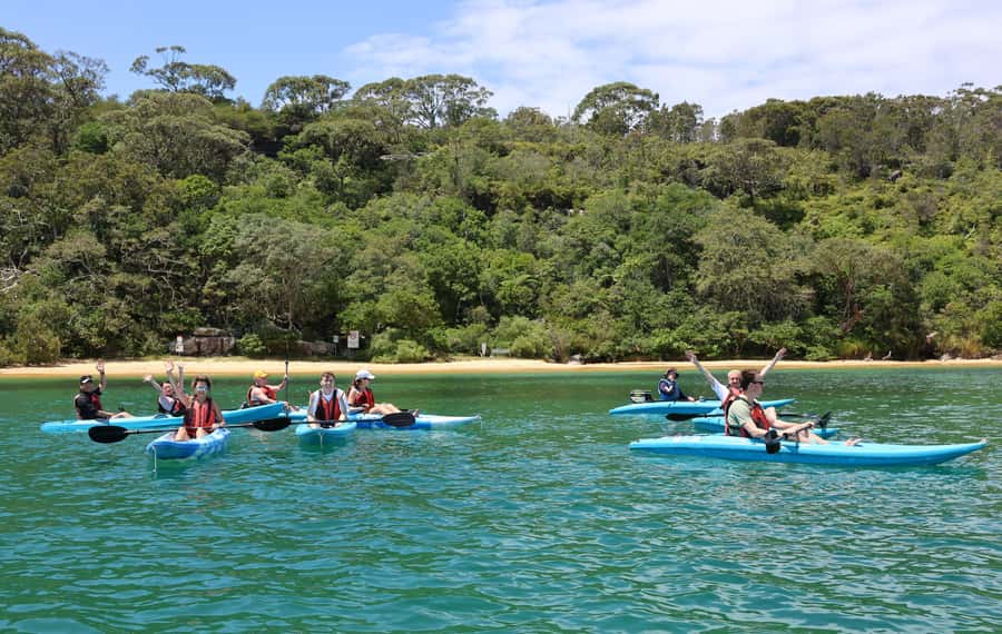 Sydney: Guided Kayak Tour of Manly Cove Beaches - Starting beside Manly Wharf