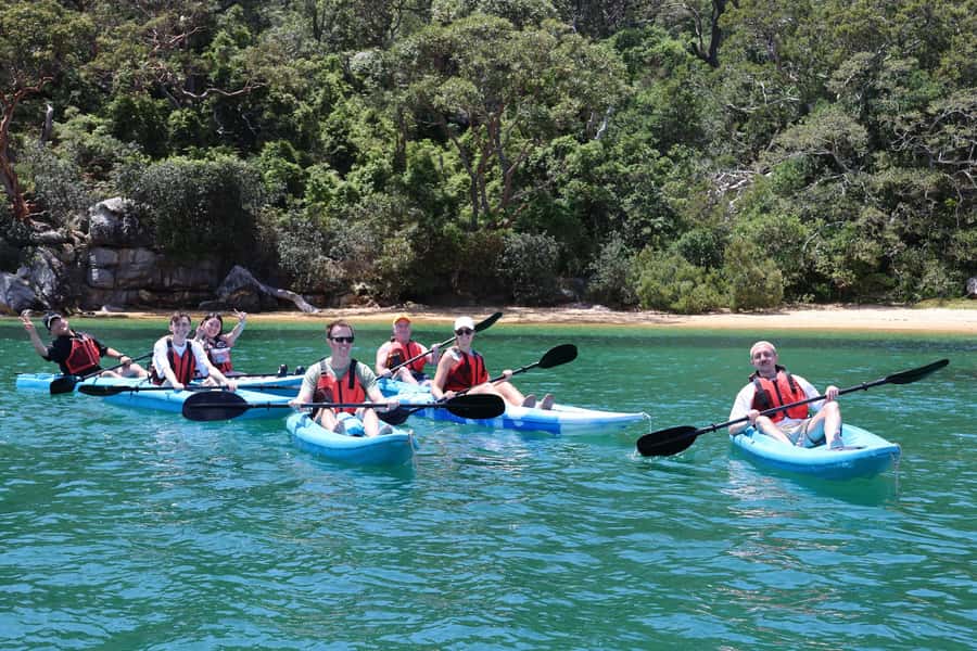 Sydney: Guided Kayak Tour of Manly Cove Beaches - A gentle paddle through Manly Cove