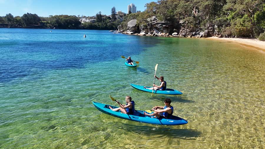 Sydney: Guided Kayak Tour of Manly Cove Beaches - Collins Flat, Store, and Quarantine beaches