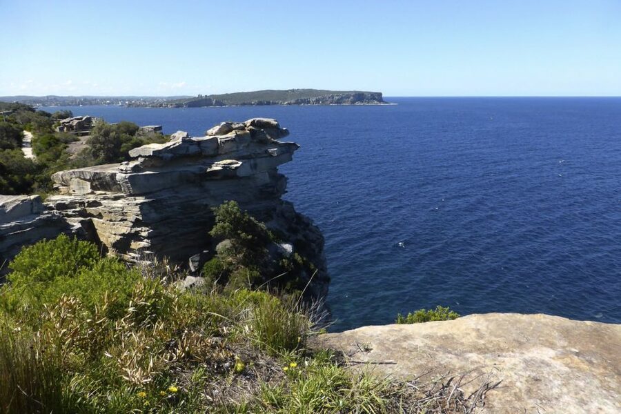 Sydney: Half-Day City Tour - Centennial Park, Woollahra, and Paddington