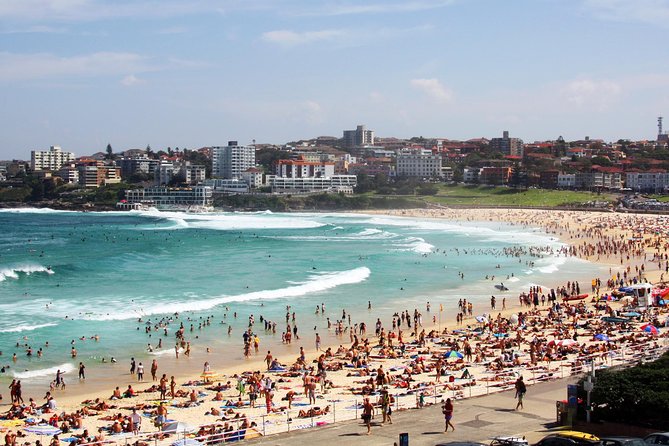 Sydney Half Day Private Tour: See Sydney Opera House and Bondi - The bridge, government buildings, and cathedral views
