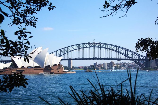 Sydney Half Day Private Tour: See Sydney Opera House and Bondi - Sydney Opera House: 30 minutes for the essential view