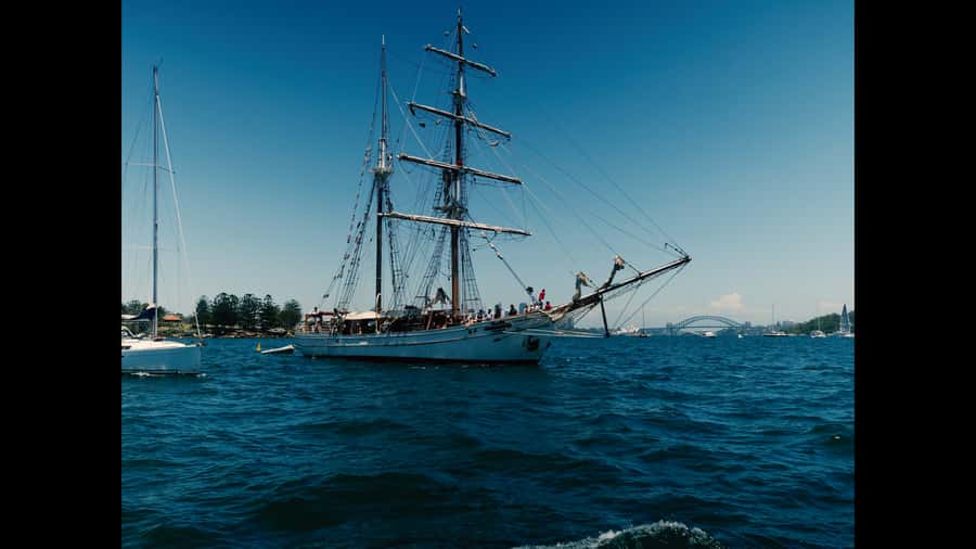 Sydney: Harbor Sunset Cruise with Dinner - Key points to know before booking
