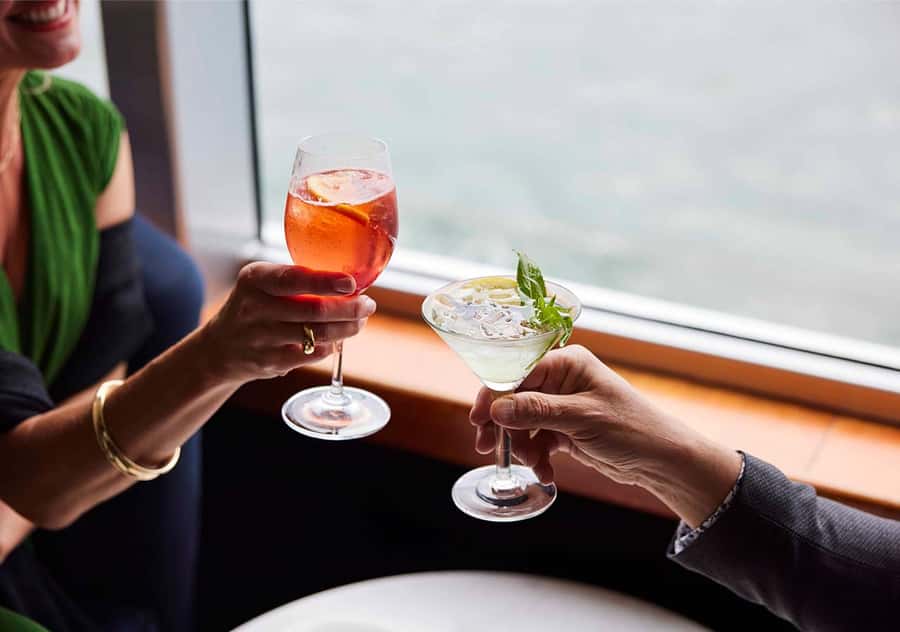 Sydney: Harbour Cruise with Charcuterie Board & Drinks - Drinks and the cocktail choice