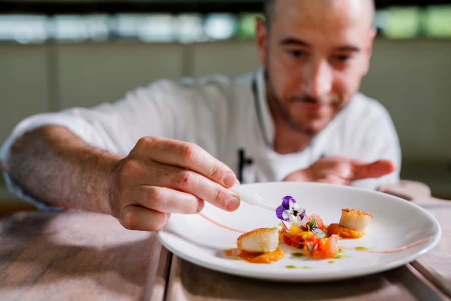 Sydney: Harbour Dinner Cruise with 3, 4 or 6-Course Menu - Who Will Enjoy This Cruise Most?