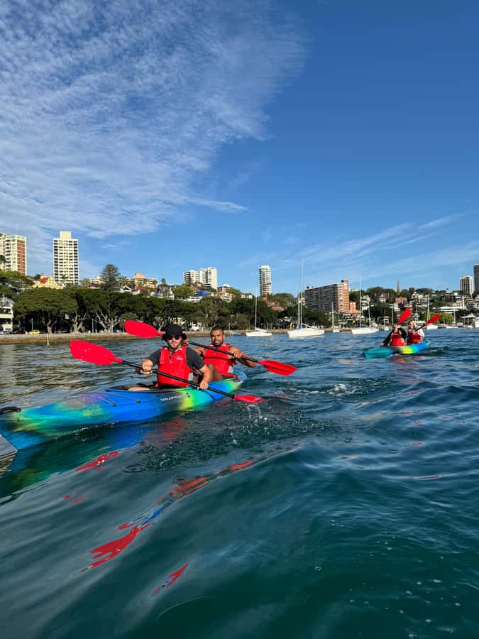 Sydney: Harbour Sunrise Kayak Tour - Why Sydney Harbour is worth seeing from a kayak
