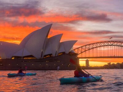 Harbour Sunrise Kayak Tour