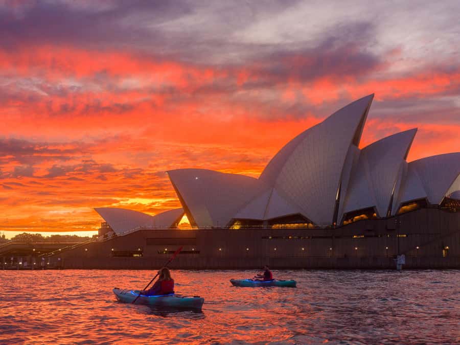 Sydney: Harbour Sunrise Kayak Tour - Paddling toward the Opera House