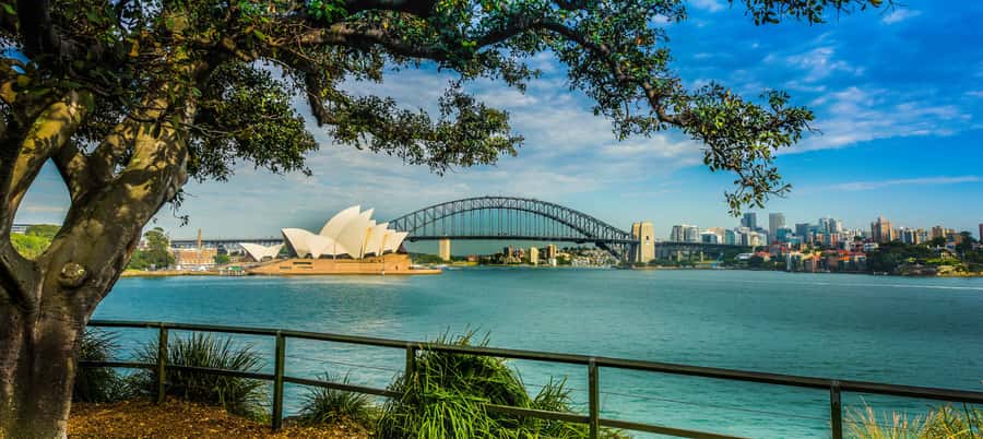 Sydney Harbour to Bondi: Small Group Half–Day Experience - Key points at a glance