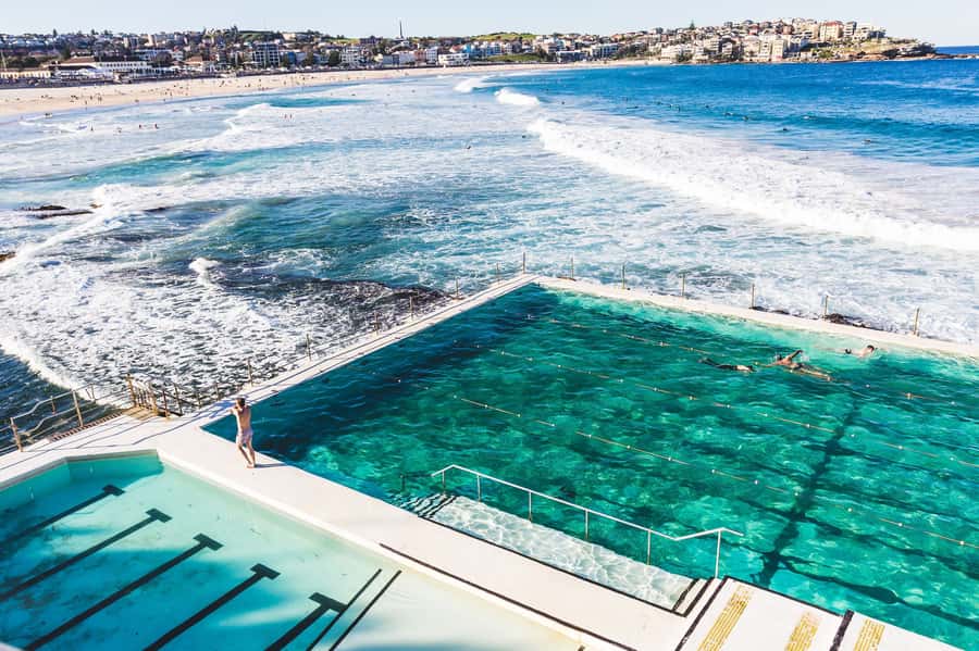 Sydney Harbour to Bondi: Small Group Half–Day Experience - Harbour icons and the city centre