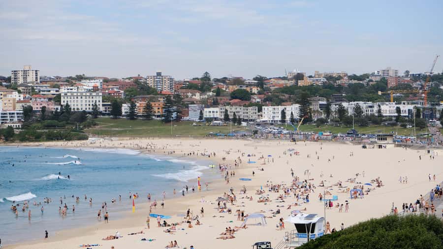 Sydney Harbour to Bondi: Small Group Half–Day Experience - From Tamarama and Bronte to Bondi Beach