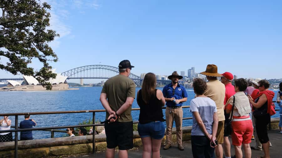 Sydney Harbour to Bondi: Small Group Half–Day Experience - Morning or afternoon: which departure fits you?