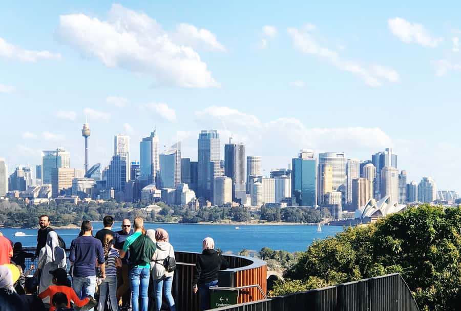 Sydney: Hop-on Hop-off Harbour Cruise with Commentary - Commentary, crew, and practical comfort
