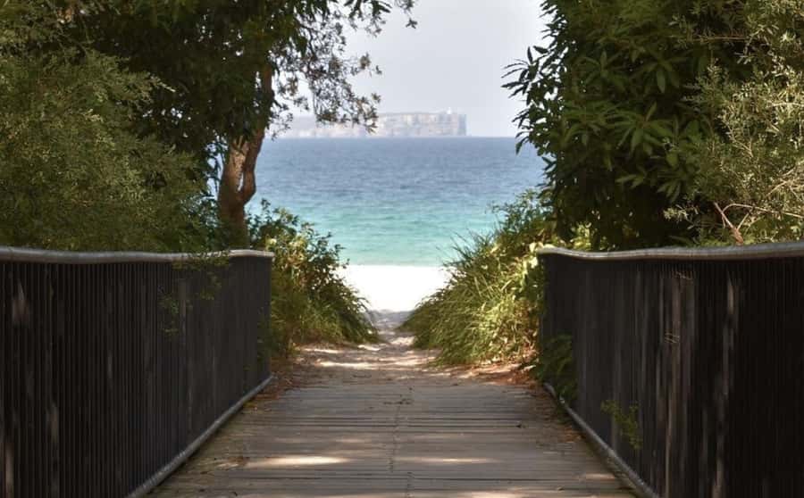 Sydney: Jervis Bay Day Trip with Dolphins, Roos & Beach Time - Huskisson gives you one hour for lunch