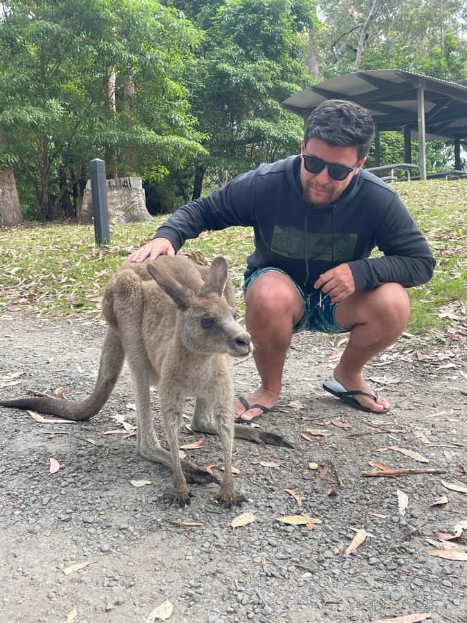 Sydney: Jervis Bay Day Trip with Dolphins, Roos & Beach Time - What to pack for this particular day