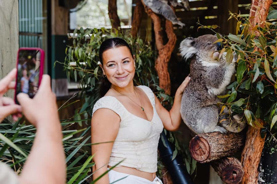 Sydney: Jervis Bay Tour with Beaches, Koalas & Kangaroos - Why the Early Symbio Visit Matters