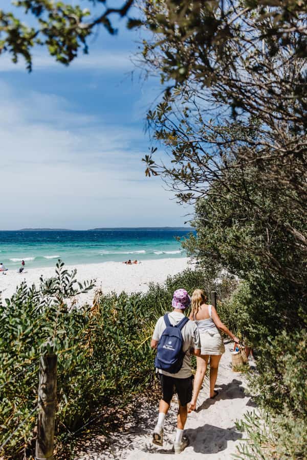 Sydney: Jervis Bay Tour with Beaches, Koalas & Kangaroos - One Hour in Huskisson for Lunch and Local Time