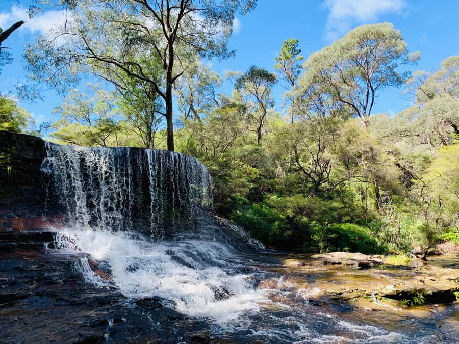 Sydney: Luxury Blue Mountains Adventure with Wentworth Falls - Wentworth Falls: the day’s most demanding and rewarding walk