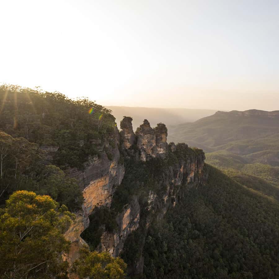 Sydney: Luxury Blue Mountains Adventure with Wentworth Falls - Featherdale Wildlife Park: Australia’s animals at close range
