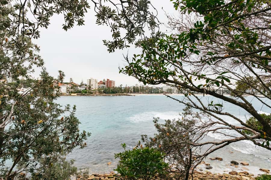 Sydney: Manly and Shelly Beach Snorkeling Tour - FAQ