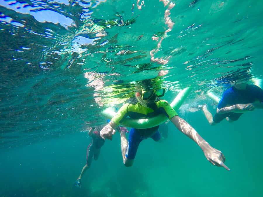 Sydney: Manly and Shelly Beach Snorkeling Tour - Getting ready with a proper safety briefing