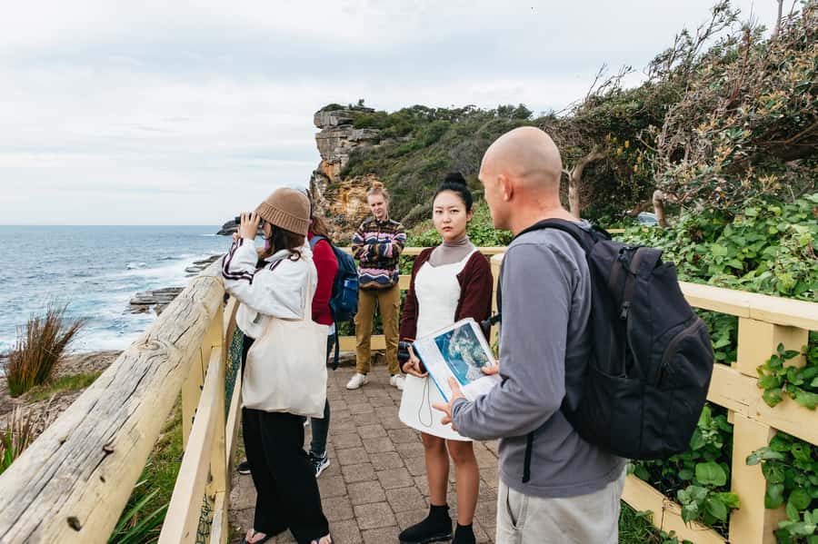 Sydney: Manly and Shelly Beach Snorkeling Tour - Snorkeling in Cabbage Tree Bay Aquatic Reserve