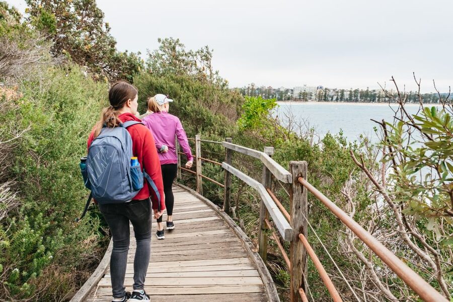 Sydney: Manly and Shelly Beach Snorkeling Tour - Why the guides make such a difference
