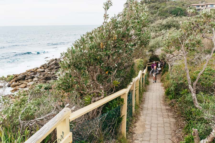 Sydney: Manly and Shelly Beach Snorkeling Tour - Who should book, and who should skip it