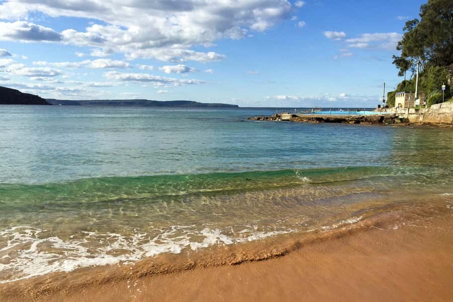 Sydney: Northern Beaches and Ku-ring-gai National Park Tour - Why this tour works for a first Sydney visit