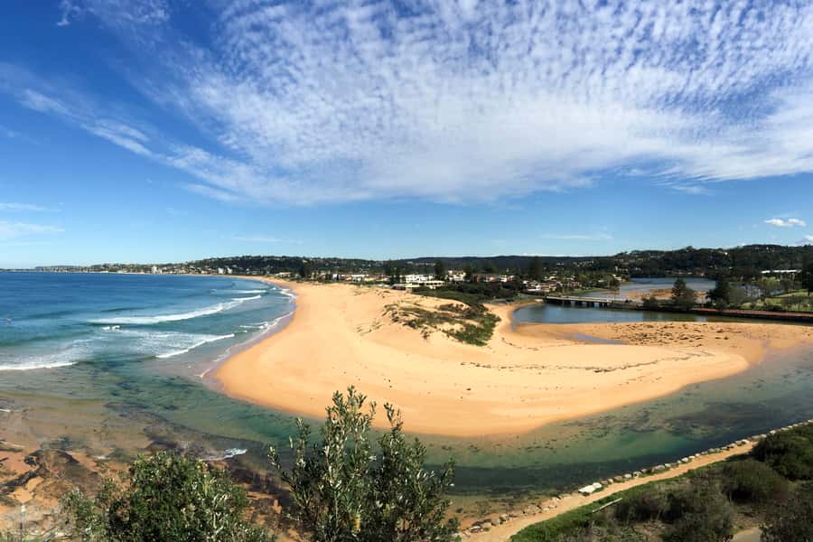 Sydney: Northern Beaches and Ku-ring-gai National Park Tour - Narrabeen and Long Reef, the coastal highlights