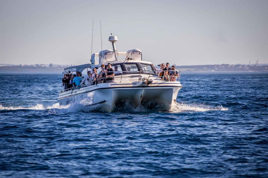 Sydney: Ocean Whale Watching Experience - Booking flexibility and weather planning