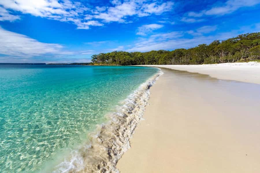 Sydney: Port Stephens Day Trip with Dolphin Cruise or Hike - Nelson Bay: lunch, water, and a useful pause