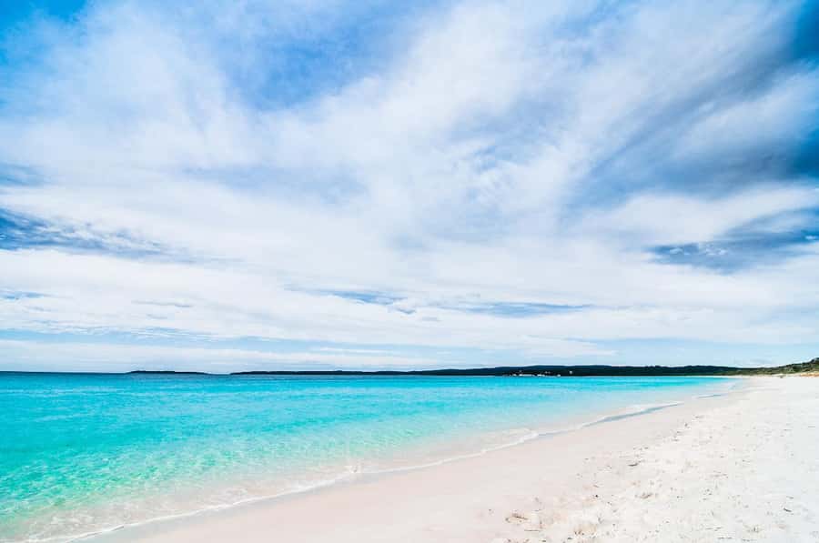 Sydney: Port Stephens Day Trip with Dolphin Cruise or Hike - Should you book the Port Stephens day trip?