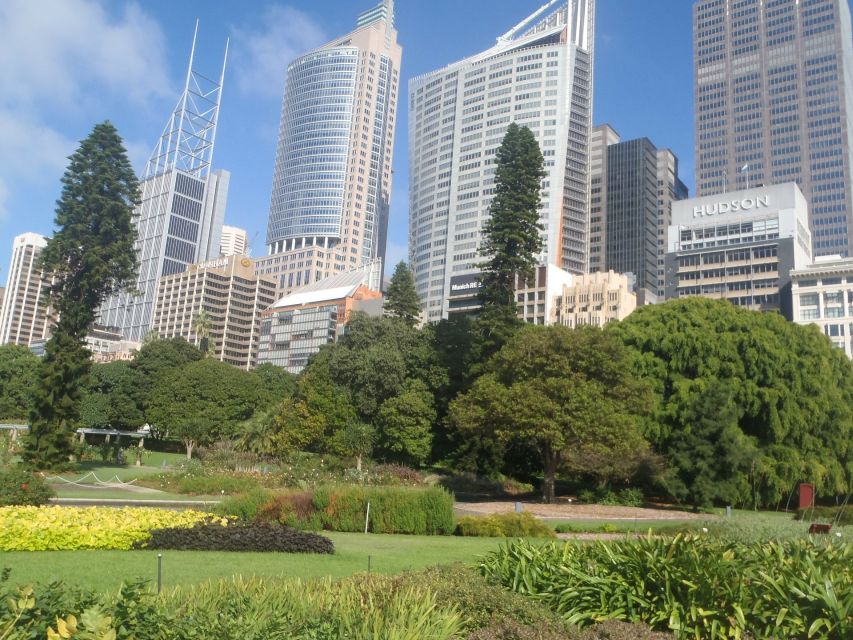 Sydney Private & Custom Walking Experience with a Local - Public transport is part of the learning