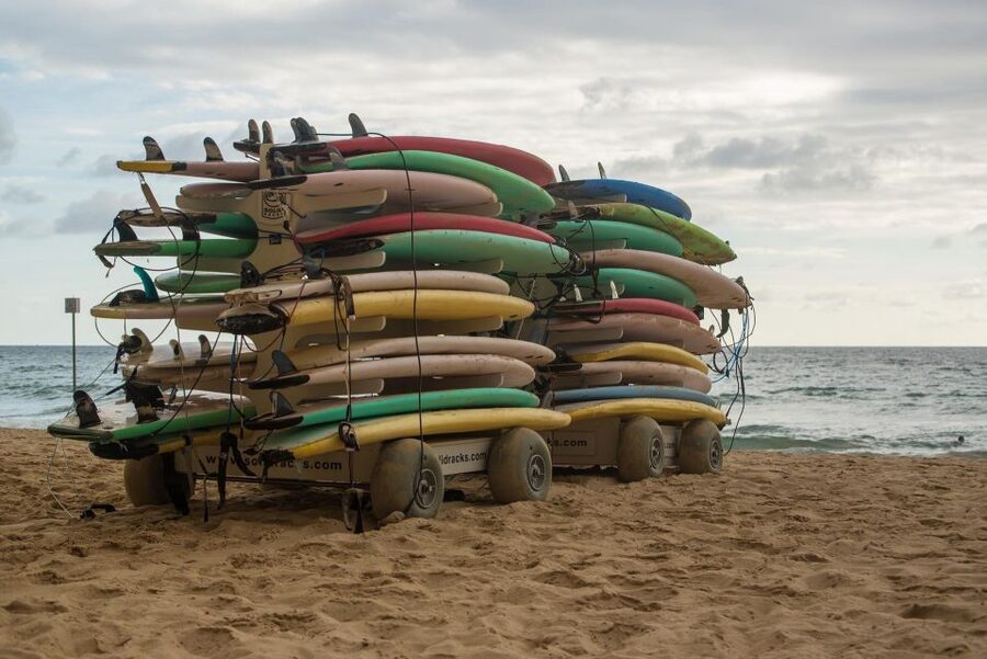 Sydney Private & Custom Walking Experience with a Local - What the hosts add to the experience